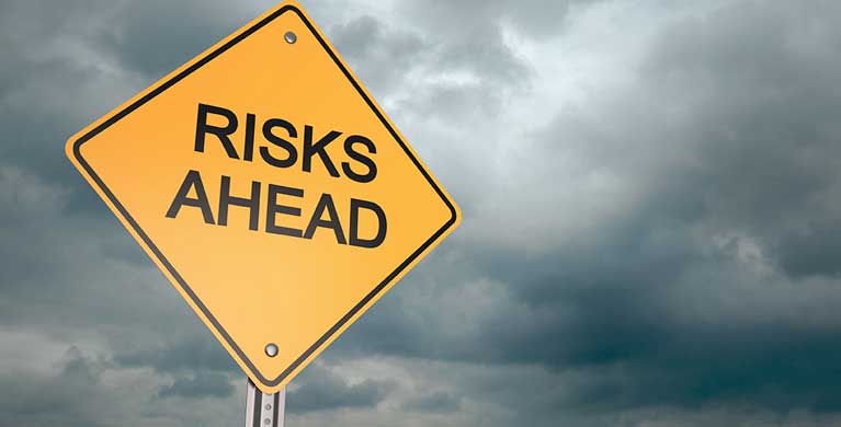 The Influence of Risk Perception